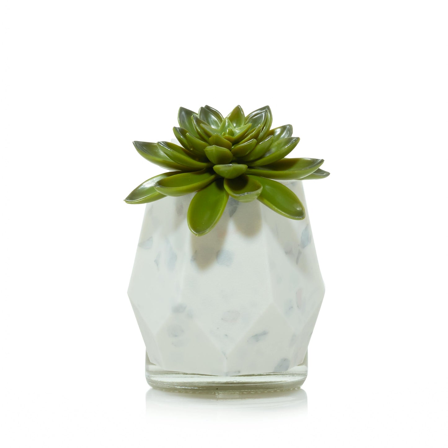 Faceted Succulent ScentPlug® Diffuser with Light TQQ7