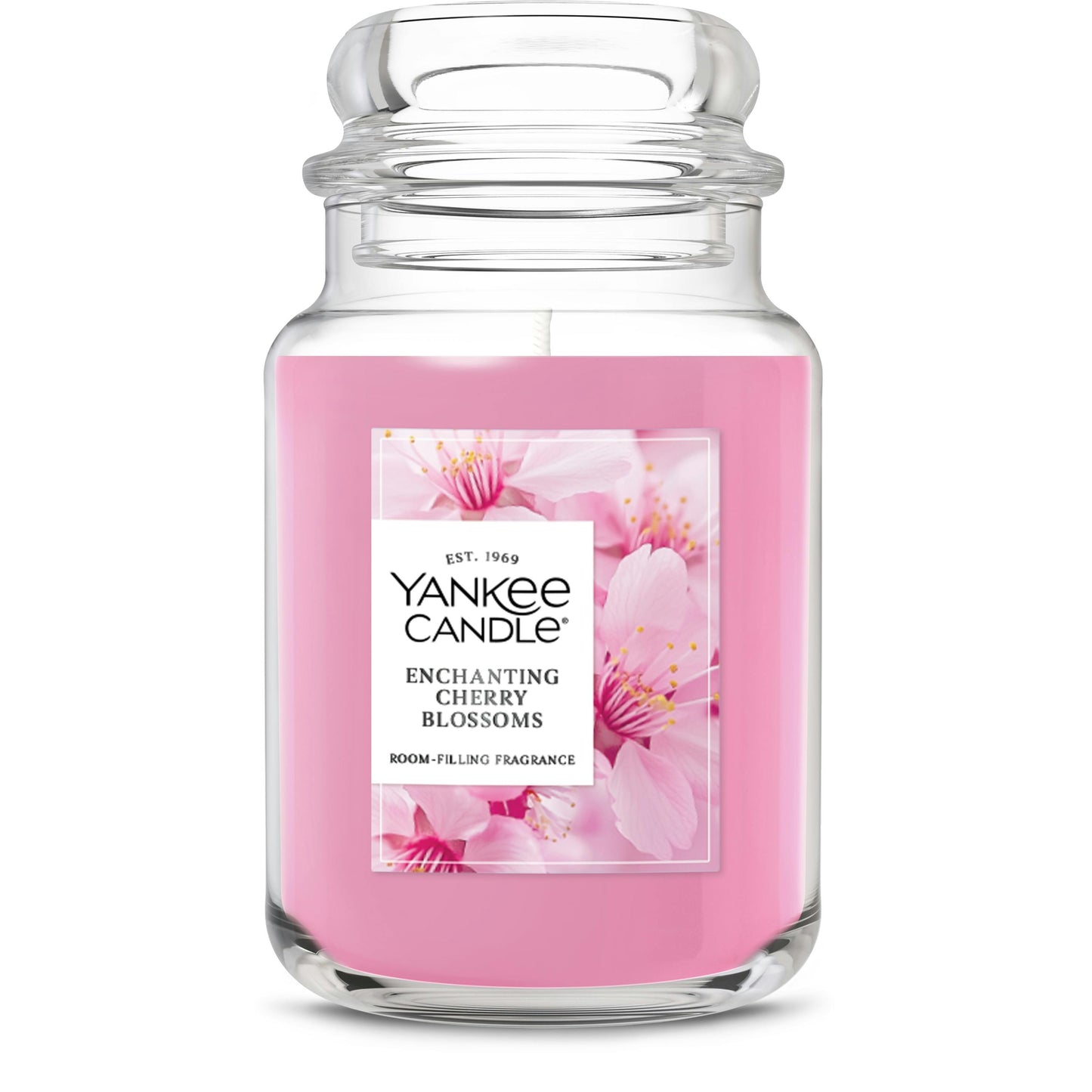 Enchanting Cherry Blossoms ZZZY