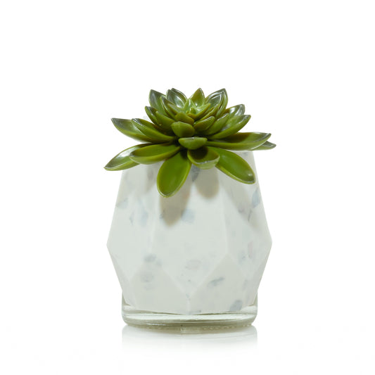 Faceted Succulent ScentPlug® Diffuser with Light TQQ7